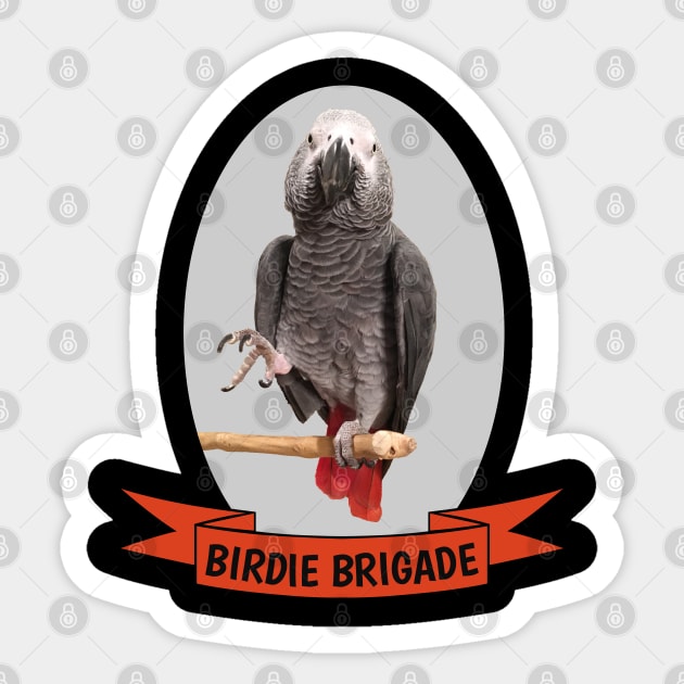 Birdie Brigade African Grey Parrot Sticker by Einstein Parrot